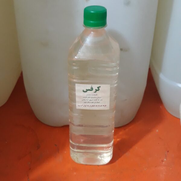 کرفس